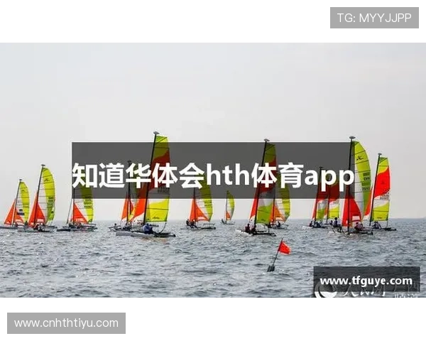 深入探讨华体会体育集团在体育赛事组织中的核心作用及未来布局