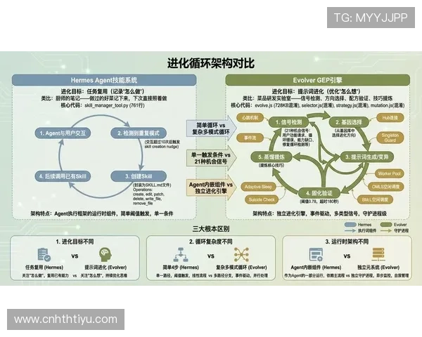 全面解析vsport官网入口的最新更新内容及未来发展趋势